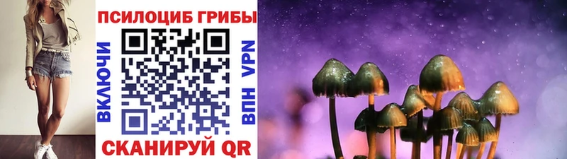 Псилоцибиновые грибы Cubensis  купить закладку  Екатеринбург 
